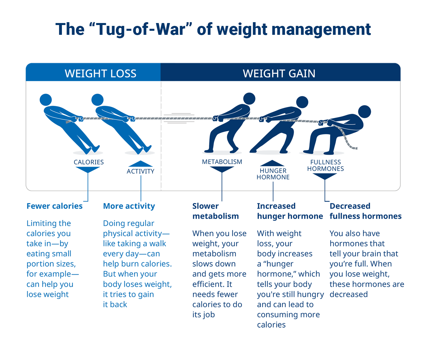 Weight Loss Yo Yo Diet Tips